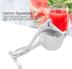 Silver Efficient Non-Lemon Fruit Presser