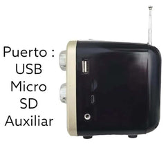 DX-2447 Bluetooth Speaker