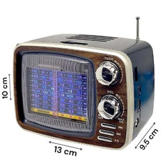 DX-2447 Bluetooth Speaker