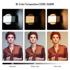 LED-800 LED Video Light