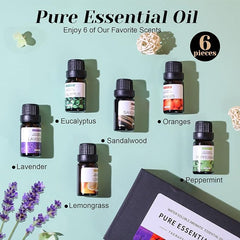 6-Pack Essential Oils Set - 10mL Bottles