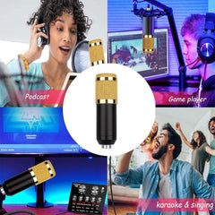 Professional USB Microphone Bundle