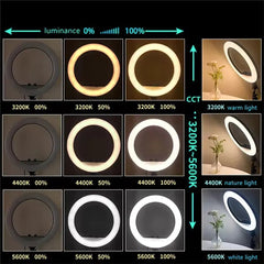 14-Inch Selfie Ring Light with Tripod Stand