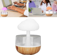 Rain Cloud Humidifier