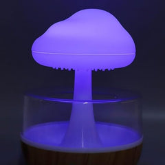 Rain Cloud Humidifier