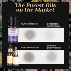 6-Pack Essential Oils Set - 10mL Bottles